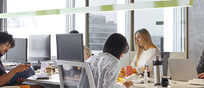 Un gruppo di colleghi lavorano in ufficio foto iStock.