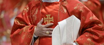 Un cardinale
