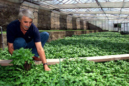 Agea, oltre 11 milioni di euro per lo sviluppo rurale