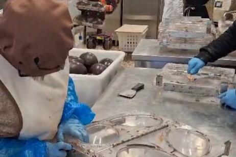 Cioccolateria sociale a Lucera, uova di Pasqua e inclusione