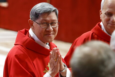 Cardinale Luis Antonio Tagle