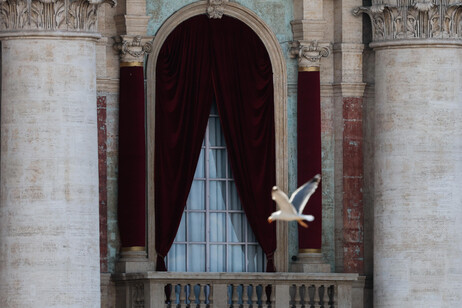 Conclave: l'attesa in Piazza San Pietro