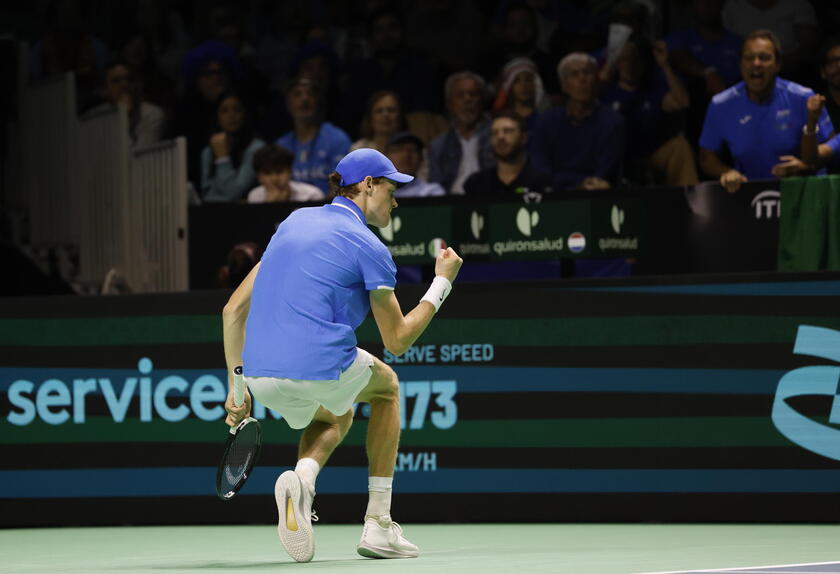 Davis Cup Finals in Malaga