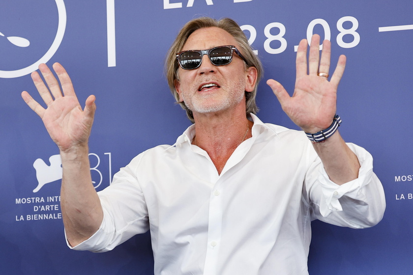 Queer - Photocall - 81st Venice Film Festival