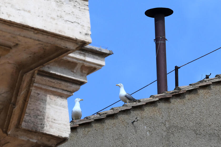 RIPRODUZIONE RISERVATA
