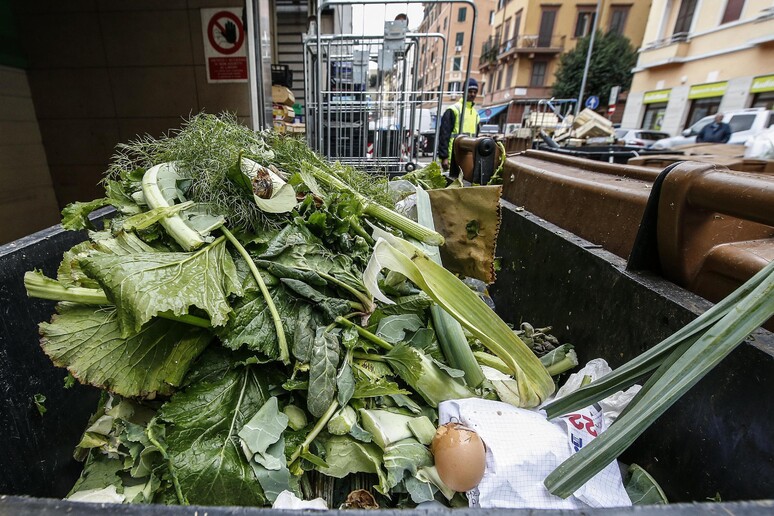 - RIPRODUZIONE RISERVATA