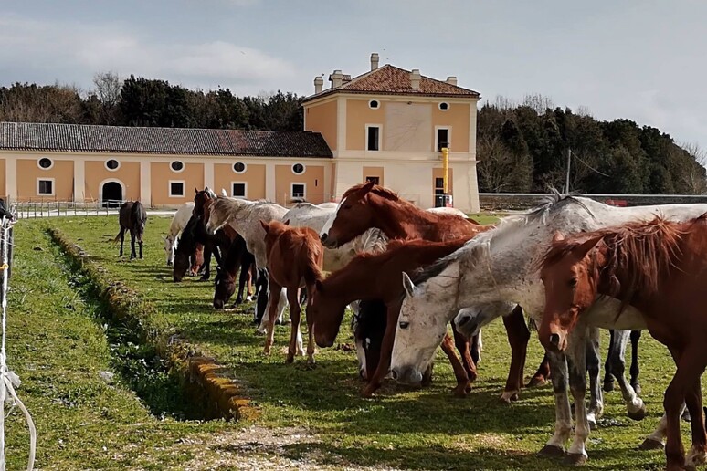 - RIPRODUZIONE RISERVATA