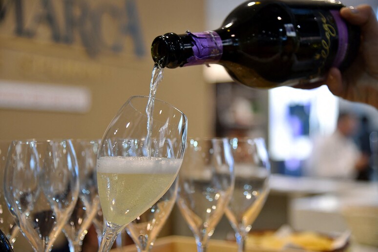 Confagri a Vinitaly, da dazi ai trend di consumo alle eccellenze © ANSA/AFP