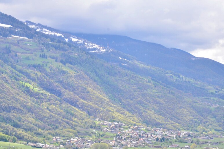 - RIPRODUZIONE RISERVATA