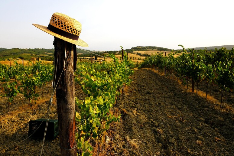 - RIPRODUZIONE RISERVATA
