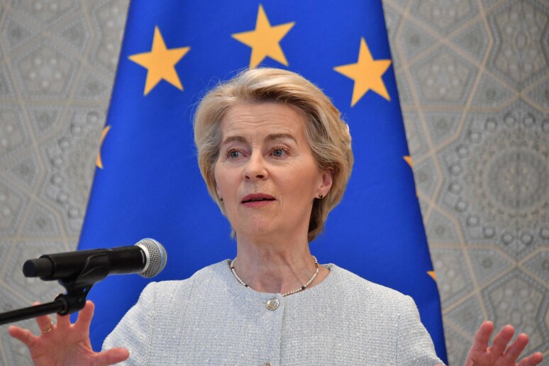 Von der Leyen,  'senza intesa pronti a tassare le Big Tech ' © ANSA/AFP