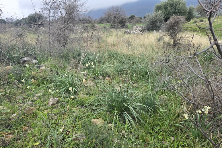 - RIPRODUZIONE RISERVATA