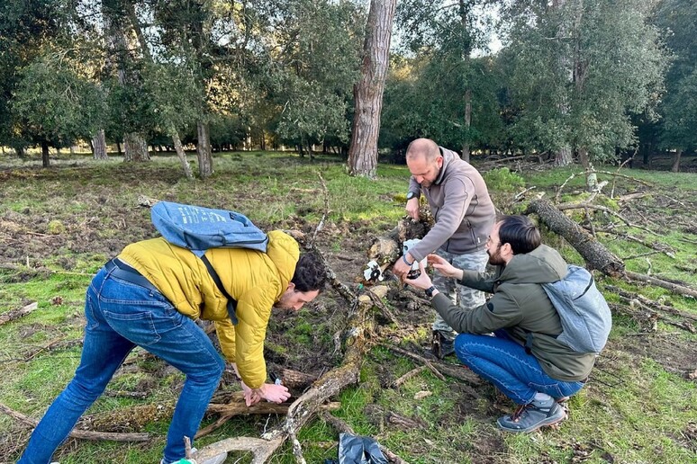 - RIPRODUZIONE RISERVATA