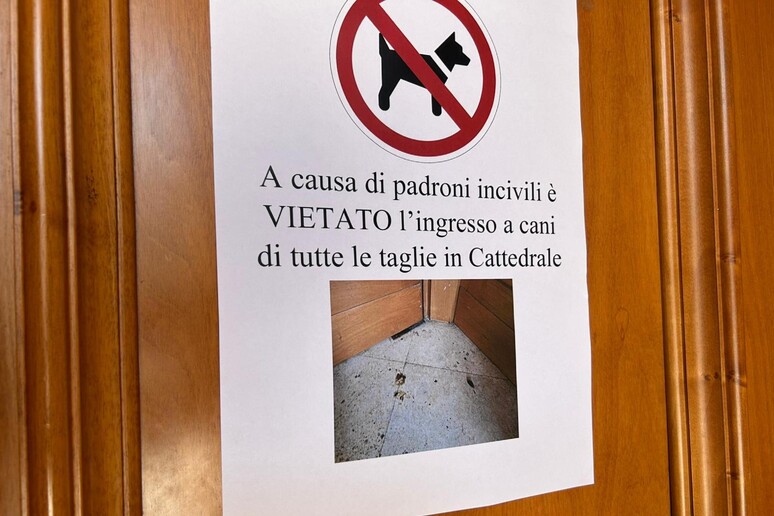 - RIPRODUZIONE RISERVATA