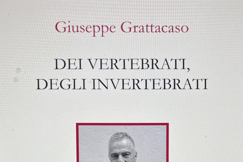 - RIPRODUZIONE RISERVATA