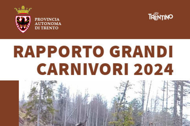 - RIPRODUZIONE RISERVATA