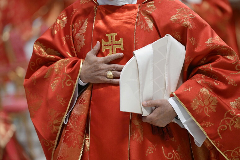 Un cardinale - RIPRODUZIONE RISERVATA