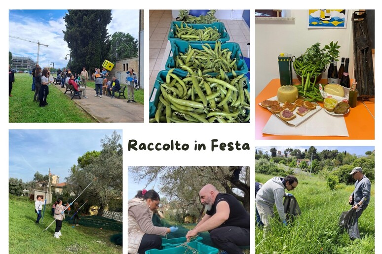 - RIPRODUZIONE RISERVATA