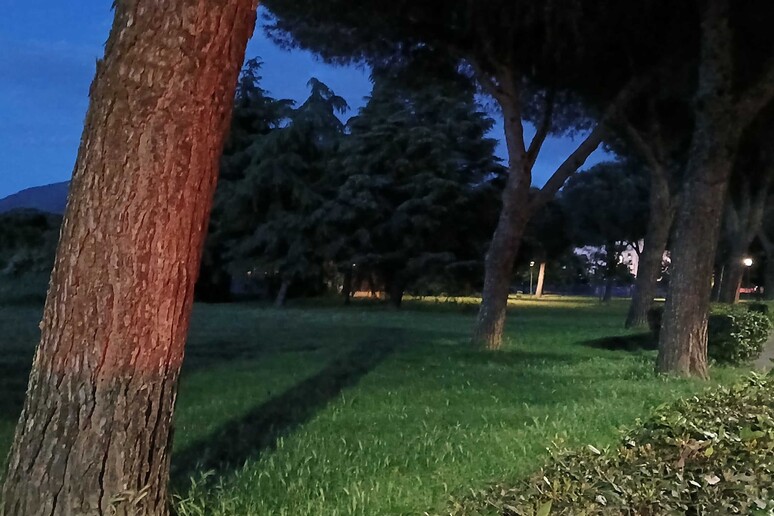 - RIPRODUZIONE RISERVATA