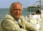 Alberto Bevilacqua