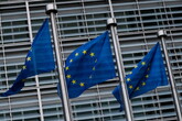 Nove Paesi Ue, voti su politica estera siano a maggioranza (ANSA)