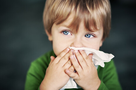 Cambiamento climatico aumenta allergie, più a rischio i bambini