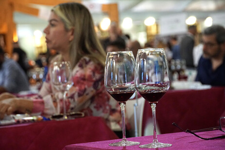 Vinitaly sbarca a New Delhi, un centinaio operatori e buyer