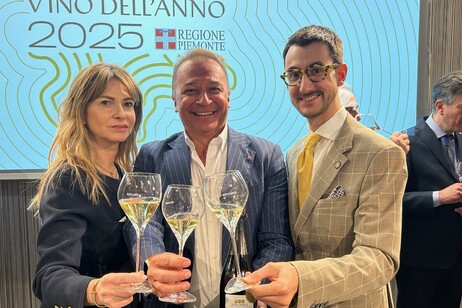 Alta Langa, il vino dell'anno punta ai 3,2 milioni di bottiglie