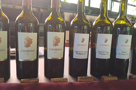 Caiarossa, dalla costa nuova generazione di Super Tuscan