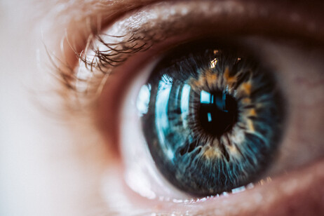 La cornea è lo strato trasparente più esterno dell'occhio (fonte: Freepik)