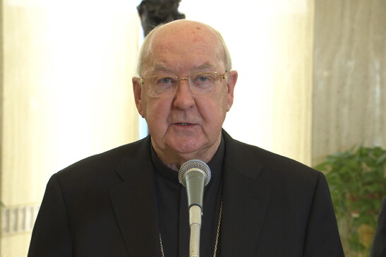 , il camerlengo è il cardinale statunitense, di origine irlandese, Kevin Joseph Farrell