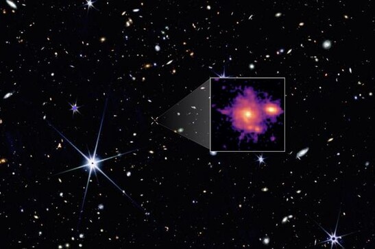 La galassia è soprannominata&nbsp;Zhúlóng, un potente drago rosso nella mitologia cinese (fonte:&nbsp;NASA/CSA/ESA, M. Xiao (University of Geneva), G. Brammer (Niels Bohr Institute), Dawn JWST Archive)