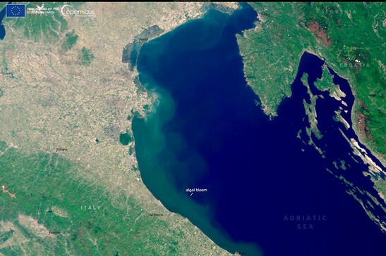 La fioritura delle alghe ripresa il 2 maggio lungo le coste dell’Adriatico (fonte: Ue, Copernicus Sentinel-3)