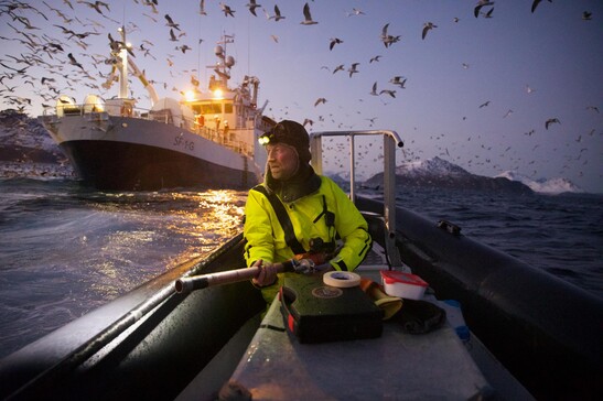 Il ricercatore Audun Rikardsen&nbsp;dell'Università di Tromsø al lavoro per attaccare localizzatori satellitari sulle balene (fonte:&nbsp;Emma Vogel)