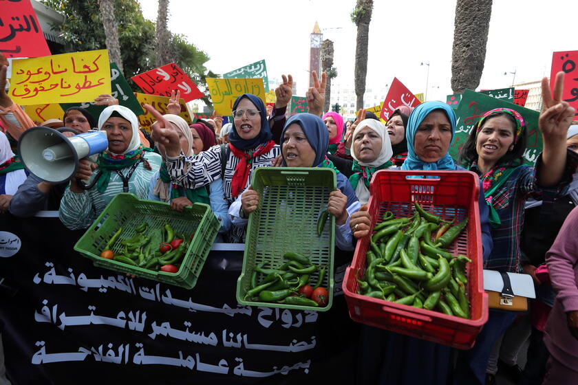 Women agricultural workers march to demand more rights and improved working conditions