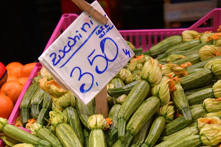 - RIPRODUZIONE RISERVATA