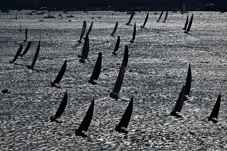 ITALY SAILING BARCOLANA REGATTA - RIPRODUZIONE RISERVATA