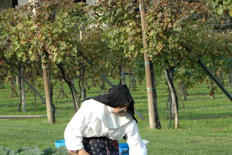 - RIPRODUZIONE RISERVATA