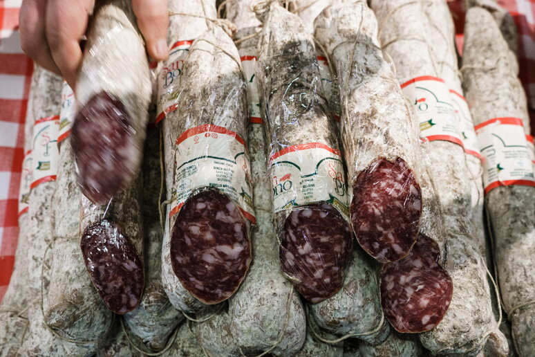 Dazi: Assica, a rischio il terzo mercato per i salumi italiani - RIPRODUZIONE RISERVATA