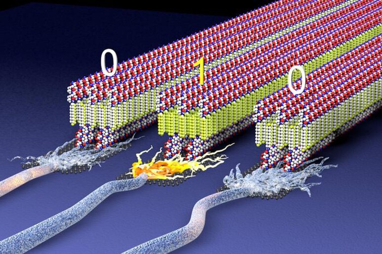 Rappresentazione gragica dei nuovi materiali soffici in grado di immagazzinare energia (fonte: Mark Seniw/Center for Regenerative Medicine/Northwestern University) - RIPRODUZIONE RISERVATA