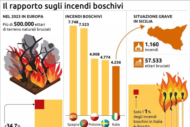 Dati incendi boschi - RIPRODUZIONE RISERVATA