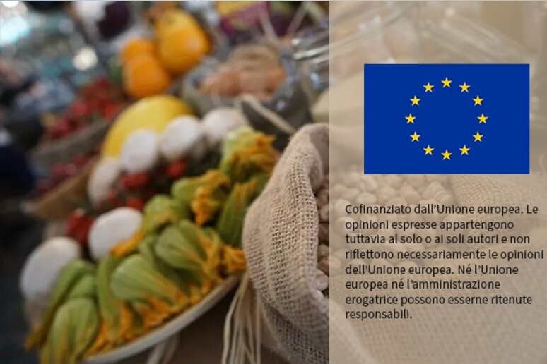 L 'Ue lancia il dialogo annuale sul cibo, lotta ad alimenti ultraprocessati - RIPRODUZIONE RISERVATA