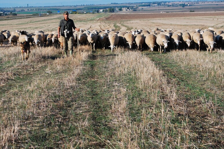 - RIPRODUZIONE RISERVATA