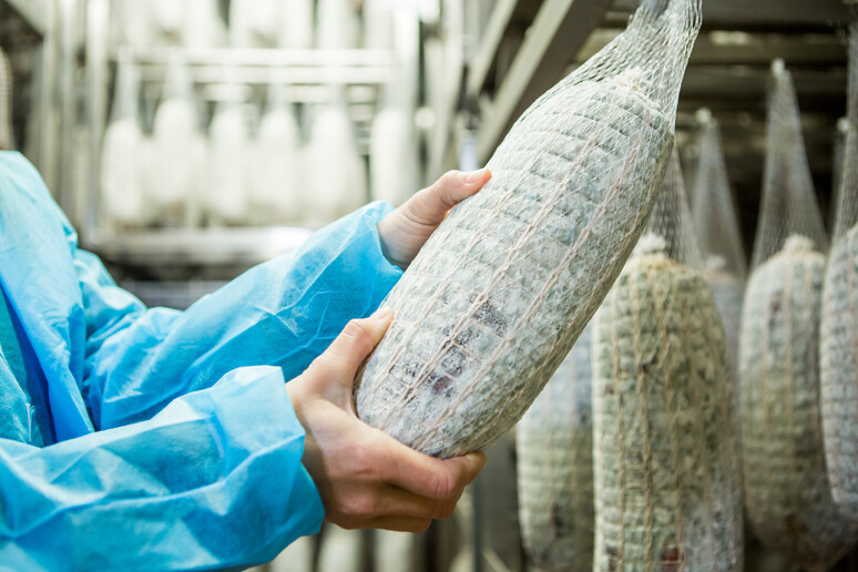 - RIPRODUZIONE RISERVATA