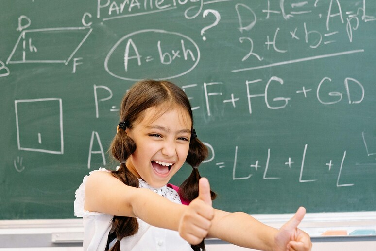 Il 12 maggio si celera la Giornata delle donne nella matematica (fonte: Yan Krukau da Pexels) - RIPRODUZIONE RISERVATA